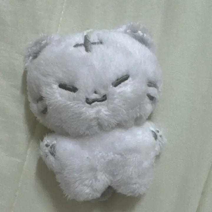 [BUNJANG] Hozzi Item / 호찌