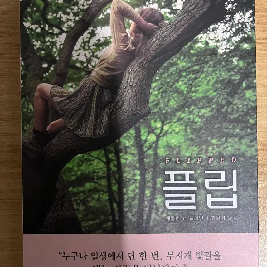 [BUNJANG] Romance Novel Book / 플립 소설 로맨스 소설책