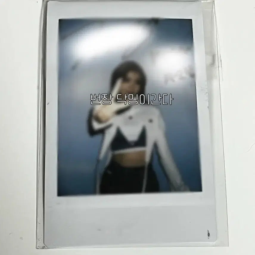 케플러 kep1er 샤오팅 2022 아육대 싸인 폴라로이드 싸폴