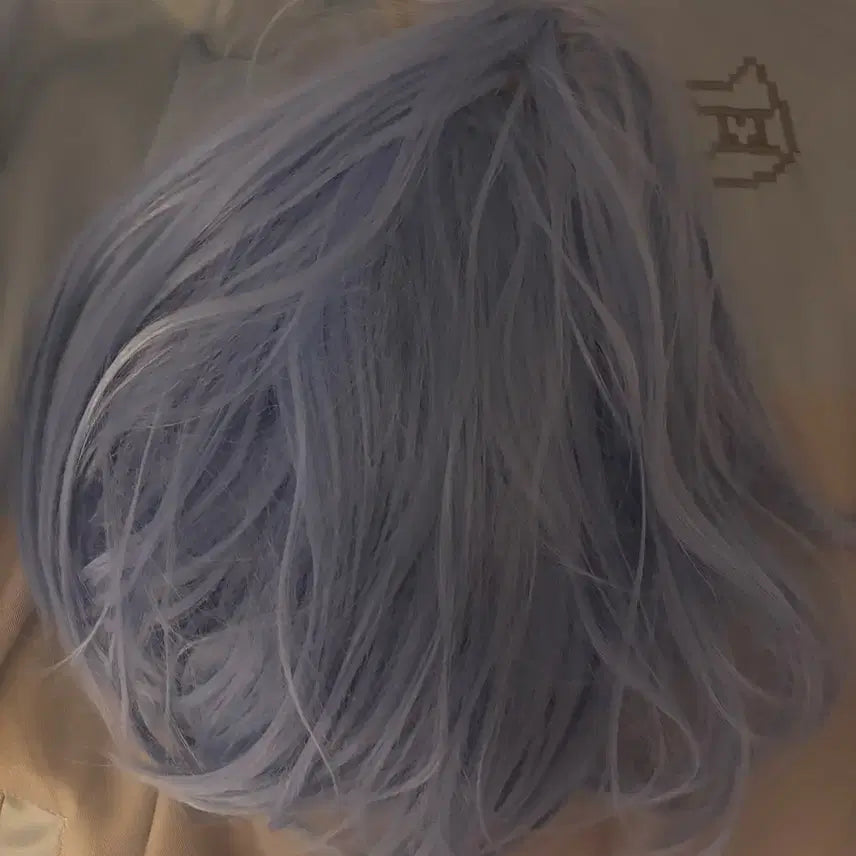 [BUNJANG] Ensemble Stars Hajime Shino Wig / (실물사진있음) 앙스타 앙상블 스타즈 시노 하지메 가발 단발