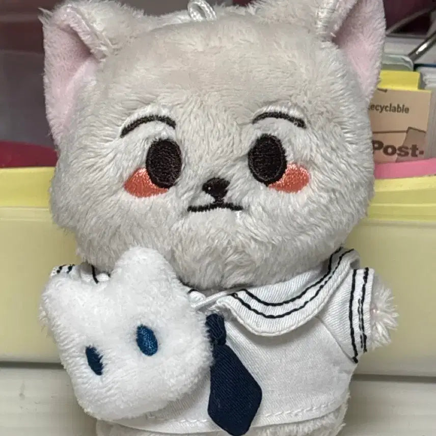 [BUNJANG] Unidentified Item / 런먕이 판매