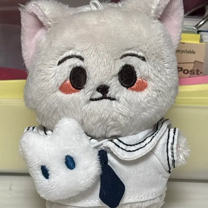 [BUNJANG] Unidentified Item / 런먕이 판매