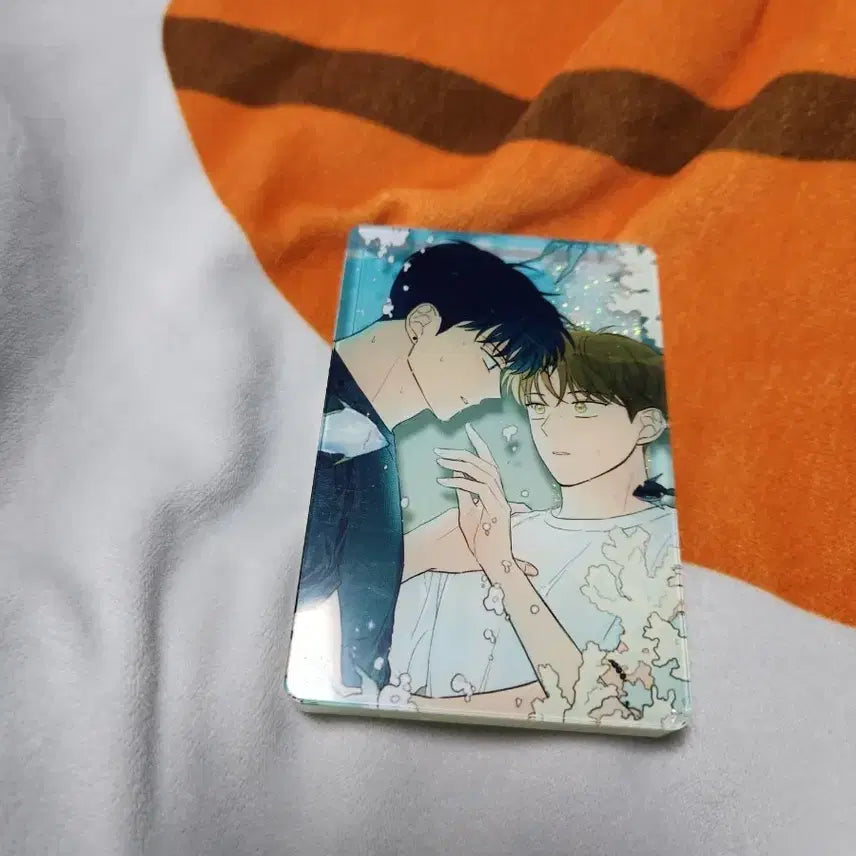 [BUNJANG] Tiger Taming Guide Water Glitter Screen Protector / 범을 길들이는 요령 워터 글리터 보호필름 부착  개봉