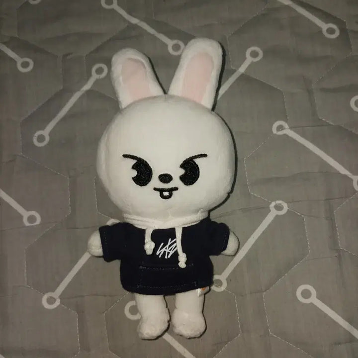 [BUNJANG] Stray Kids Album Bundle Set / 스키즈 포카,앨범 대량 양도 합니다