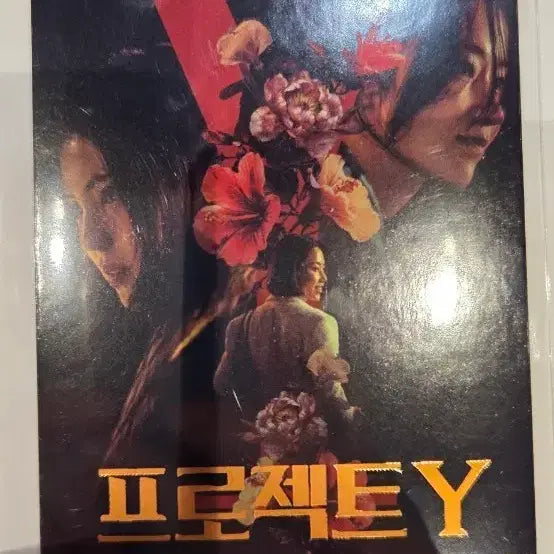 [BUNJANG] Project Y Original Ticket / 프로젝트y 오리지널티켓