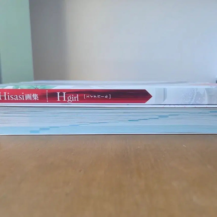 [BUNJANG] Hgirl Artbook / Hisasi작가 일러스트북(Artworks) Hgirl