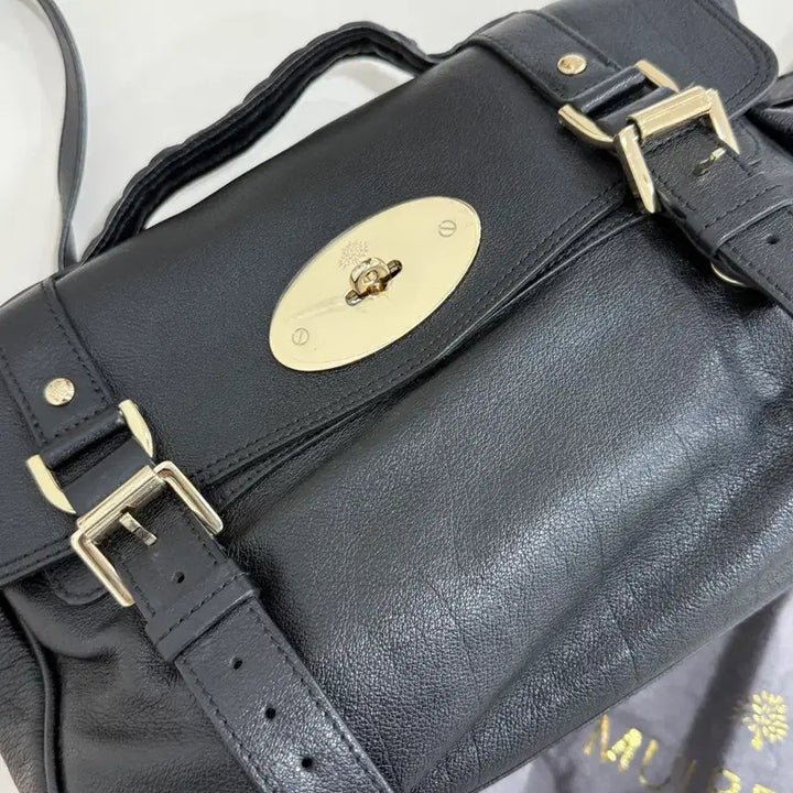 [BUNJANG] Mulberry Alexa Medium / 멀버리 알렉사 미듐