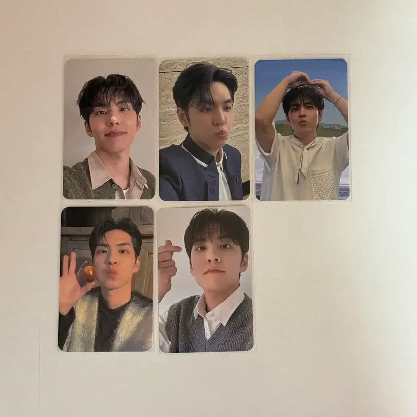 [BUNJANG] Day6 Wonpil Bundle Set Photocard / 데이식스 원필 포카 일괄
