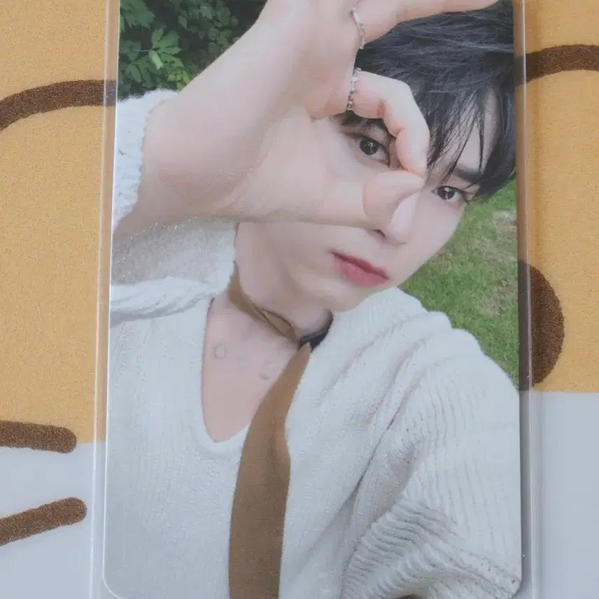 제베원 성한빈 공방포카 양도