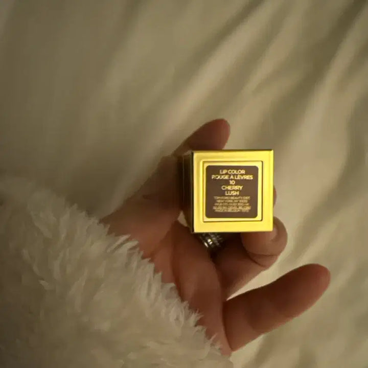 [BUNJANG] Tom Ford Cherry Rush Lipstick / 톰포드 립스틱 10호 체리러쉬 새상품 정품