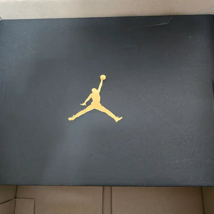 [BUNJANG] Nike Air Jordan Access Black Sneakers / 나이키 에어조던 액세스 블랙 300 사이즈 AR3762