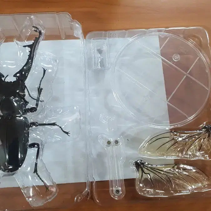 [BUNJANG] Bandai Giraffa Premium Figure / 반다이 생물대도감 프리미엄 기라파