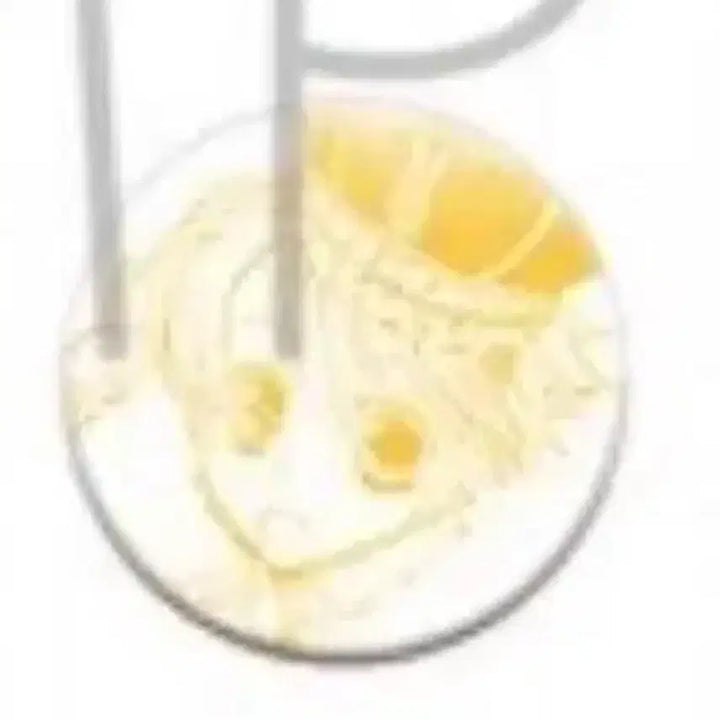 [BUNJANG] Ouran High School Host Club Honey Original Illustration Can Badge / 오란고교사교클럽 오란고교호스트부 하니 원화 캔뱃지 오란고교