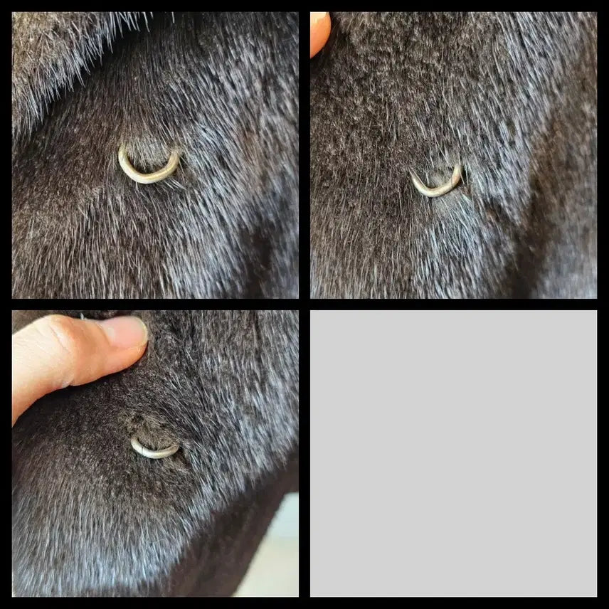 [BUNJANG] ROSEE Blackglama Stand Collar Half Mink Coat / 역시즌초특가 ROSEE로제 블랙그라마 스탠카라 하프밍크