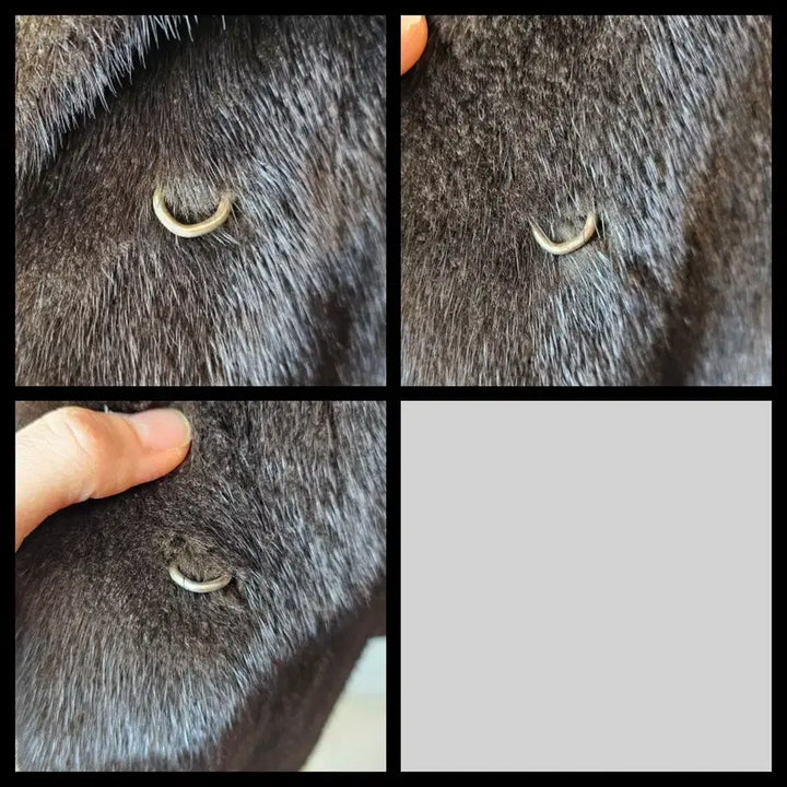 [BUNJANG] ROSEE Blackglama Stand Collar Half Mink Coat / 역시즌초특가 ROSEE로제 블랙그라마 스탠카라 하프밍크
