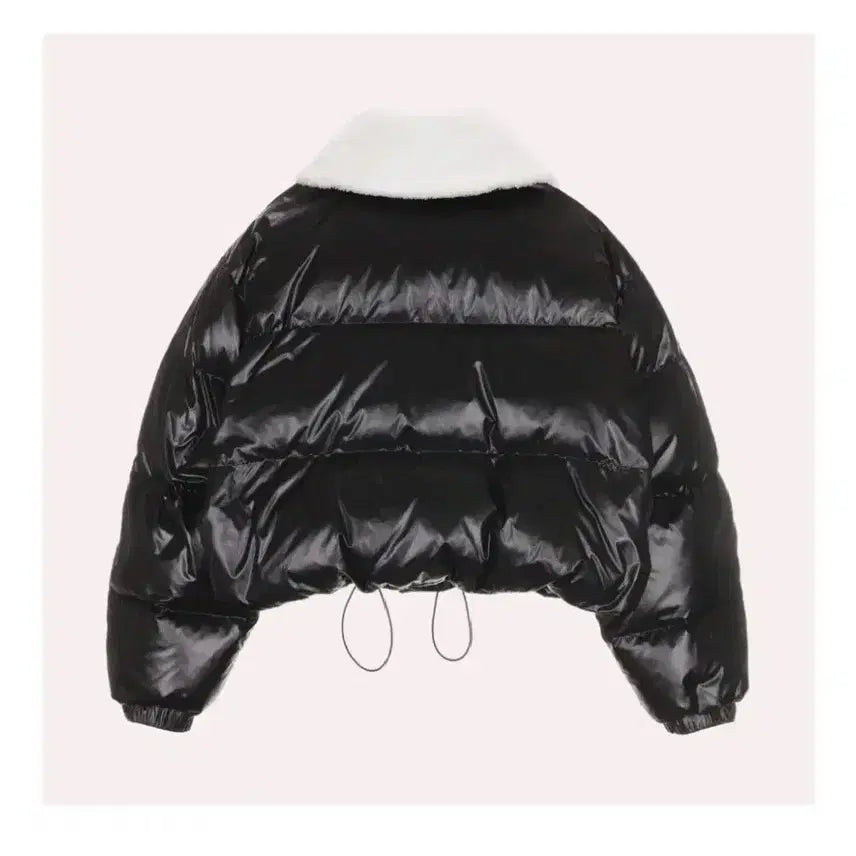 [BUNJANG] Muse Down Lambswool Fur Collar Padded Jacket - Black (M) / 뮤제 다운 램스울 퍼 카라 패딩 자켓  - 블랙,38(M)