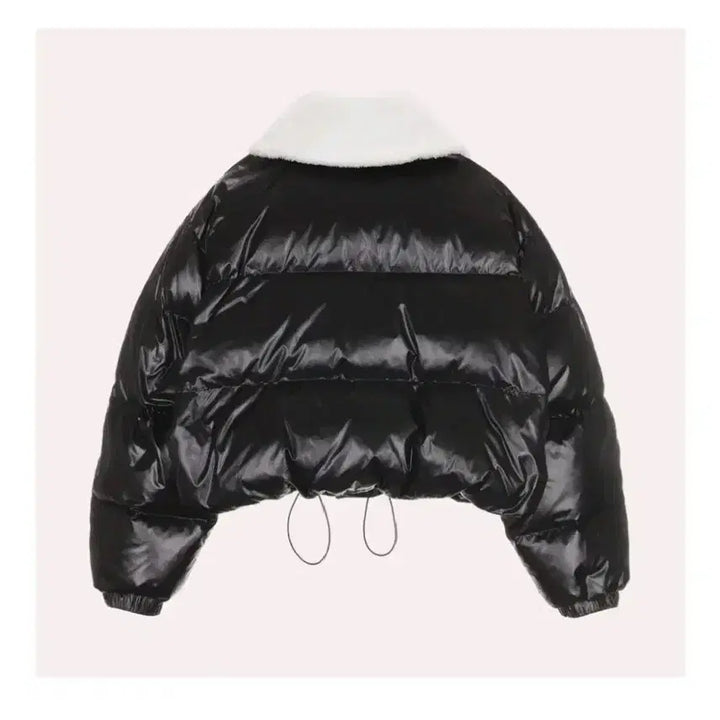 [BUNJANG] Muse Down Lambswool Fur Collar Padded Jacket - Black (M) / 뮤제 다운 램스울 퍼 카라 패딩 자켓  - 블랙,38(M)