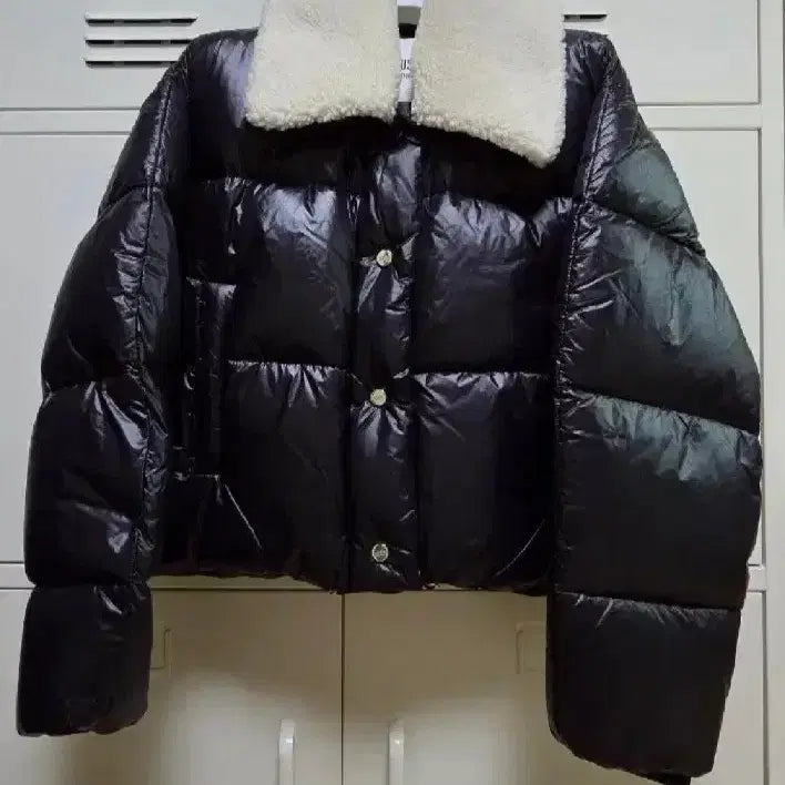 [BUNJANG] Muse Down Lambswool Fur Collar Padded Jacket - Black (M) / 뮤제 다운 램스울 퍼 카라 패딩 자켓  - 블랙,38(M)