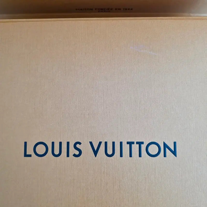 [BUNJANG] Louis Vuitton Nice Mini Bag / 루이비통 니스미니