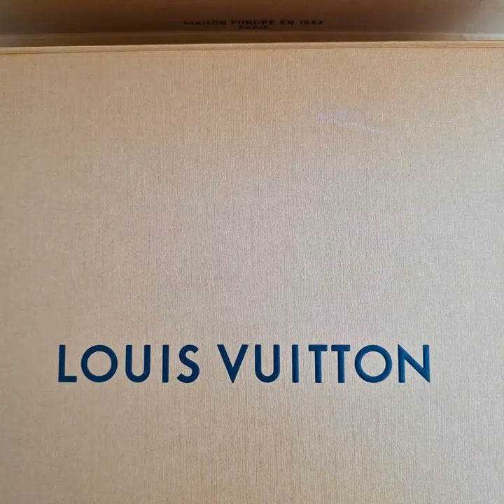 [BUNJANG] Louis Vuitton Nice Mini Bag / 루이비통 니스미니