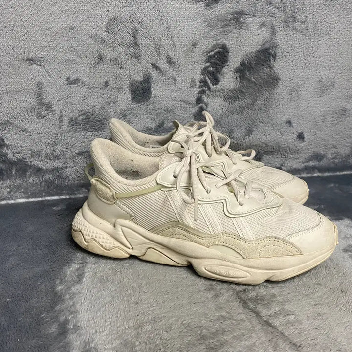 [BUNJANG] Adidas Sneakers 245 / 아디다스 운동화 245