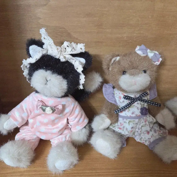 [BUNJANG] Boyz Bear Set Bundle Set / 일괄 보이즈베어 고양이 set 미모냥이들