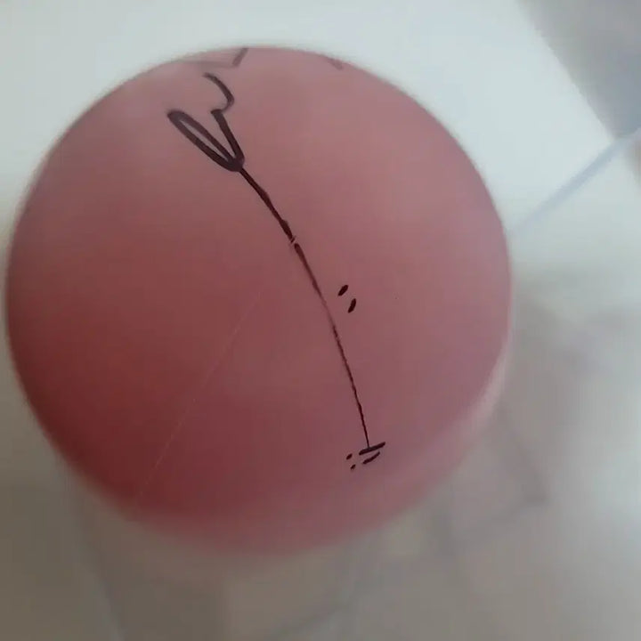 [BUNJANG] fromis_9 Songhayoung 2026 Encore Signed Ball / 프로미스나인 송하영 싸인볼