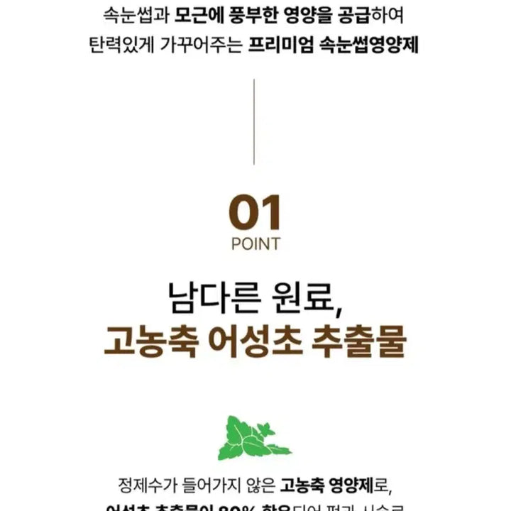 [BUNJANG] Beigel Eyelash Serum / 속눈썹 베이글 영양제 새상품