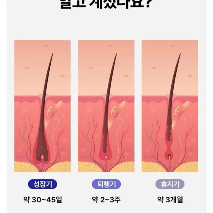 [BUNJANG] Beigel Eyelash Serum / 속눈썹 베이글 영양제 새상품