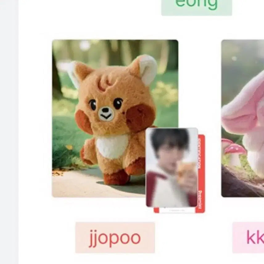 [BUNJANG] Dreamcatcher Jjopoo ID Card + Doll / Dreamiez 인형 + 아이디 카드 쪼푸 (단순전시)