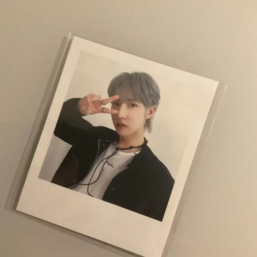 런쥔 시그 폴라