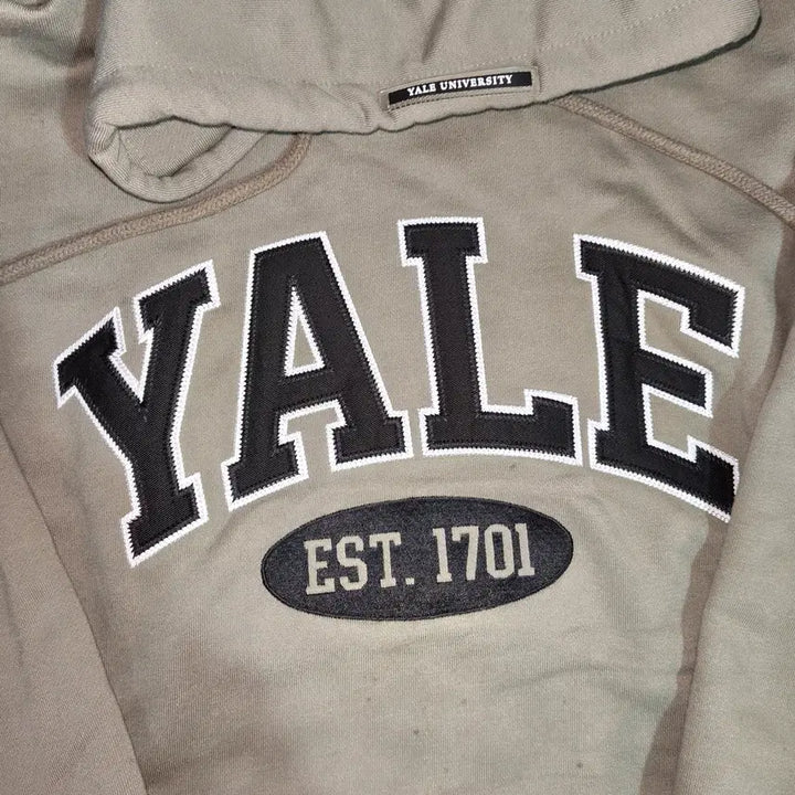 [BUNJANG] YALE Arch Logo Hoodie (Light Green) / [중고/택포] YALE 예일 아치형 로고 후드티 L 사이즈 (연녹색)