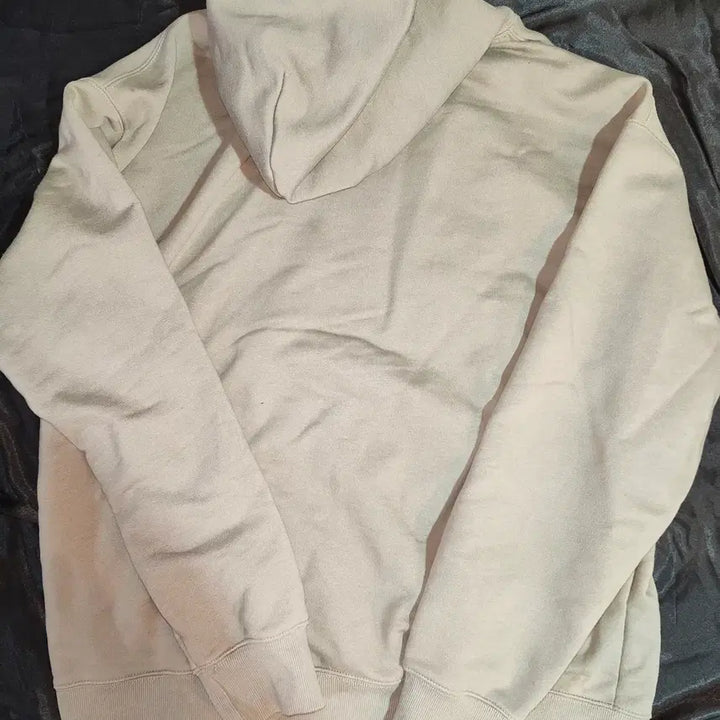 [BUNJANG] YALE Arch Logo Hoodie (Light Green) / [중고/택포] YALE 예일 아치형 로고 후드티 L 사이즈 (연녹색)