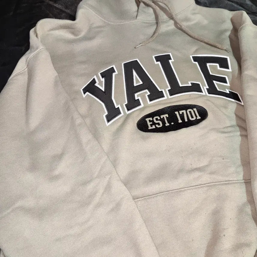 [BUNJANG] YALE Arch Logo Hoodie (Light Green) / [중고/택포] YALE 예일 아치형 로고 후드티 L 사이즈 (연녹색)