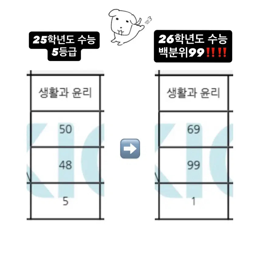 [BUNJANG] Handwritten Notes PDF / 생윤 1등급 손글씨 전범위 필기노트 pdf