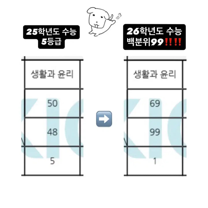 [BUNJANG] Handwritten Notes PDF / 생윤 1등급 손글씨 전범위 필기노트 pdf