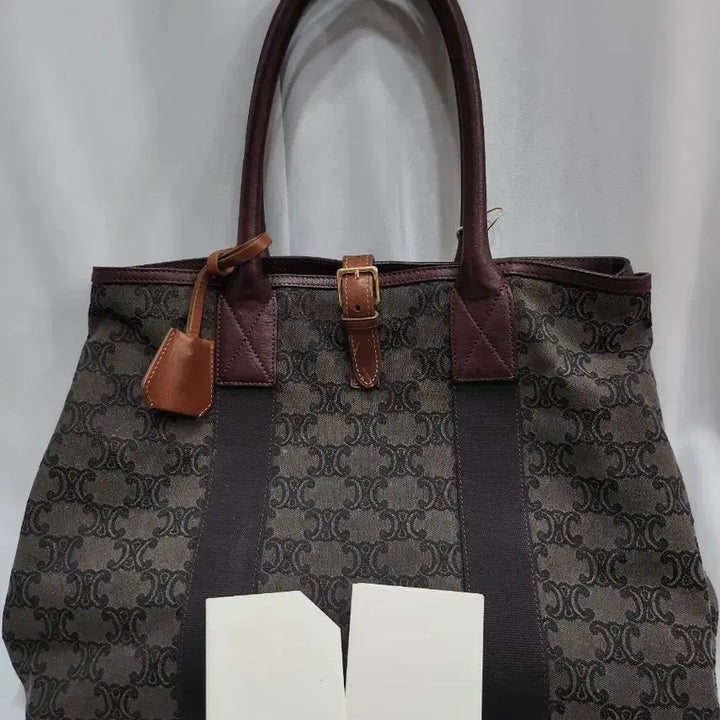 [BUNJANG] Celine Triomphe Canvas Tote Bag / (정품)셀린느 트리옹프 캔버스 토트백