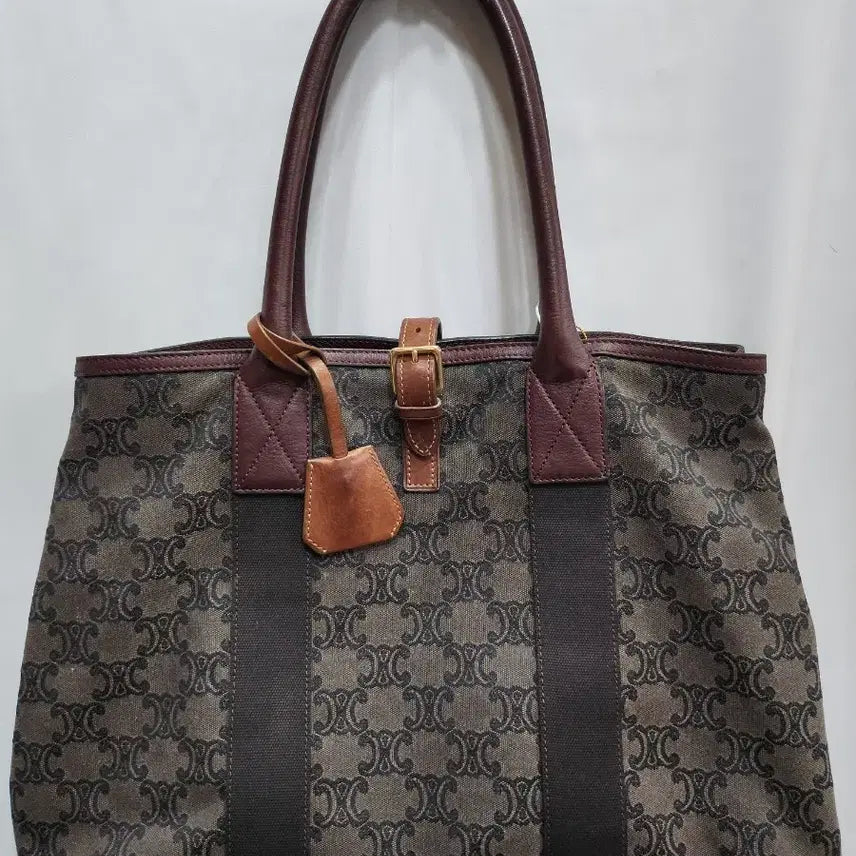 [BUNJANG] Celine Triomphe Canvas Tote Bag / (정품)셀린느 트리옹프 캔버스 토트백