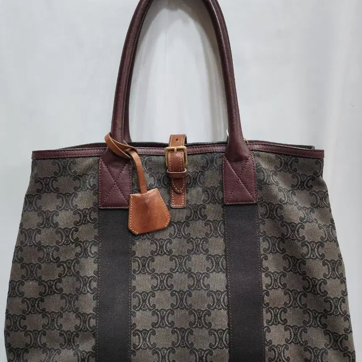 [BUNJANG] Celine Triomphe Canvas Tote Bag / (정품)셀린느 트리옹프 캔버스 토트백