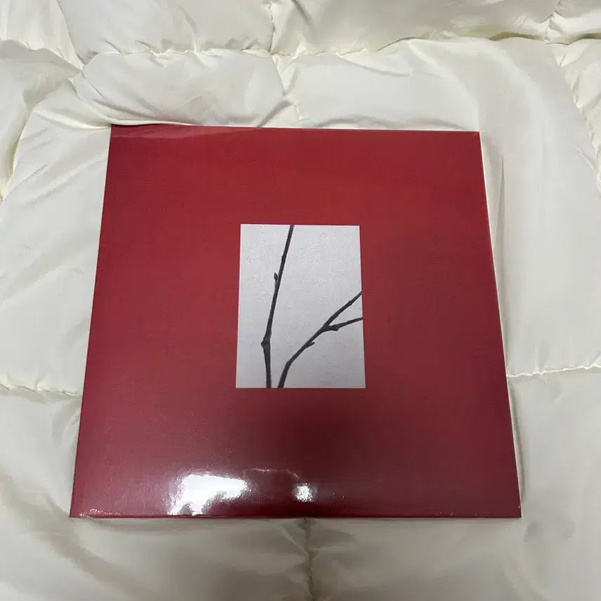 [BUNJANG] CHERRY BULLET YUJU - Merumeum, Hana LP Sealed / 최유리 머무름, 하나 LP 미개봉