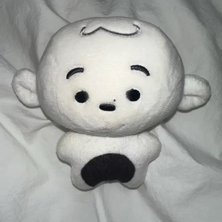 [SOLD OUT] 소죠 10cm 인형 양도