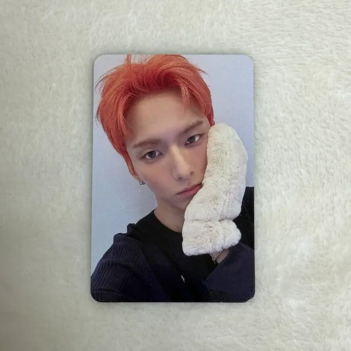 [BUNJANG] Xdinary Heroes V-View Finale Concert Entry Photocard / 엑디즈 뷰마 피날레 중콘 입장포카 오드