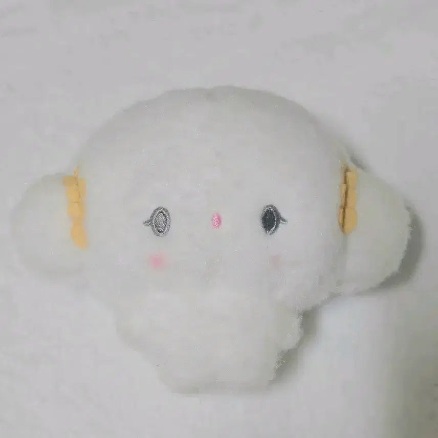 [BUNJANG] Sanrio KkogiMung RIIZE Shotaro Plush / 산리오 코기뮹 인형 라이즈 성찬 숑기뮹