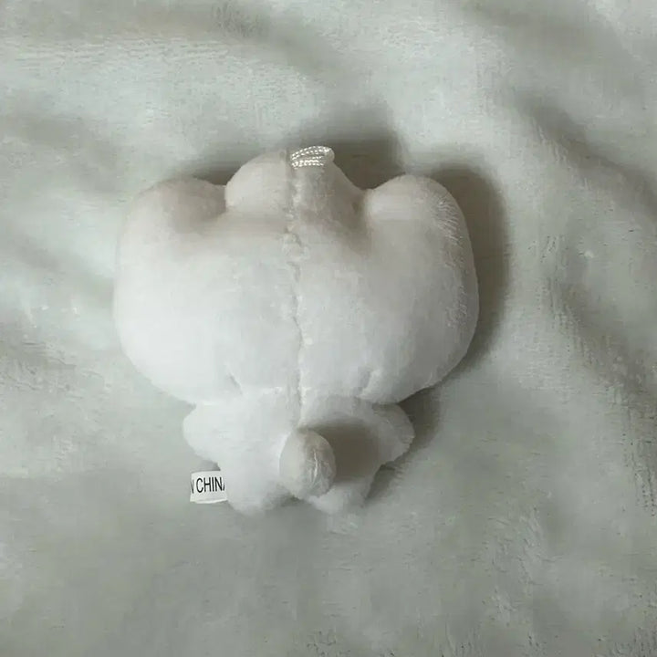 [BUNJANG] BOYNEXTDOOR Taesan Doll / 보이넥스트도어 보넥도 태산인형 한입티냐