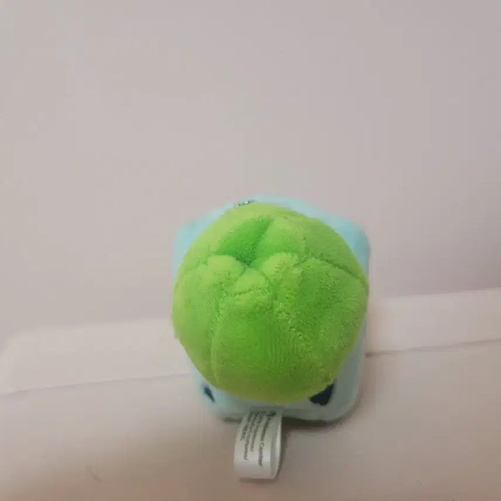 [BUNJANG] Pokemon Bulbasaur Dolls Keyring / 포켓몬스터 이상해씨 돌즈 키링 인형