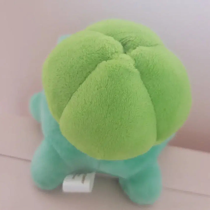 [BUNJANG] Pokemon 2013 Bulbasaur Plush Doll / 포켓몬 포센한정 2013년 이상해씨 인형 봉제인형