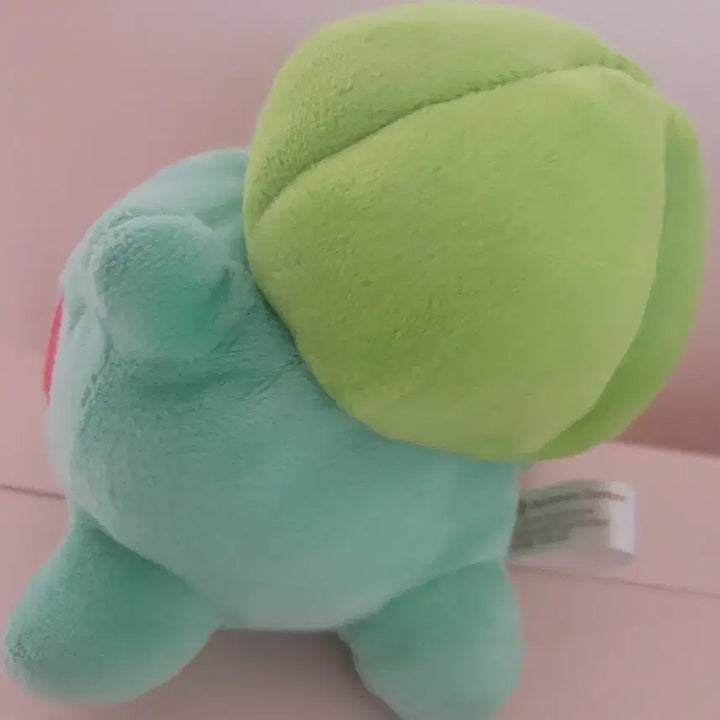 [BUNJANG] Pokemon 2013 Bulbasaur Plush Doll / 포켓몬 포센한정 2013년 이상해씨 인형 봉제인형