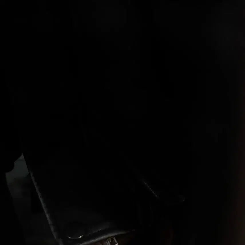 [BUNJANG] Goose Vegan Washing Leather Jacket / 구즈 비건 워싱 레더 자켓