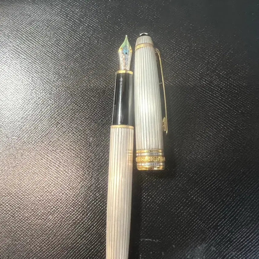 [BUNJANG] Montblanc Meisterstück 1448 Solitaire Fountain Pen / 몽블랑 마이스터스튁 1448 솔리테어 만년필(통째로 925실버)