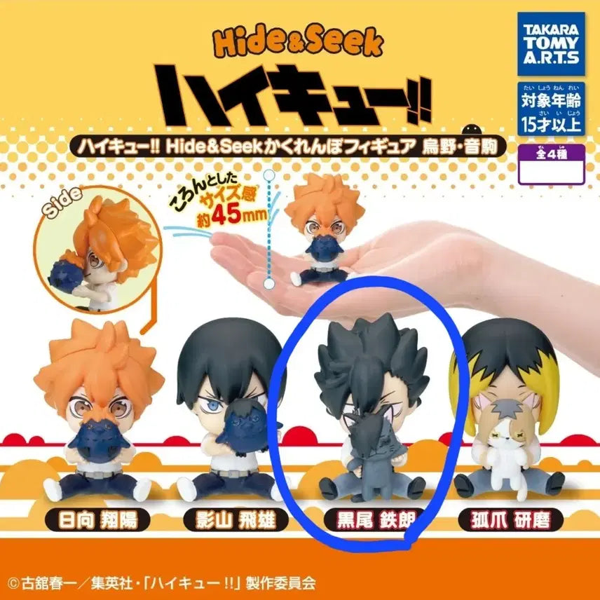 [BUNJANG] Haikyuu Kuroo Tetsuro Hide & Seek Figure / 하이큐!! Hide & Seek 카쿠렌보 피규어 쿠로오 테츠로